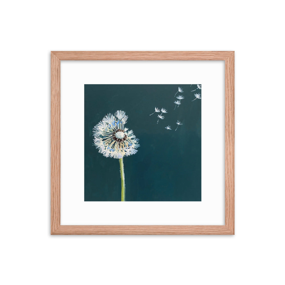 Dandelion Framed Print