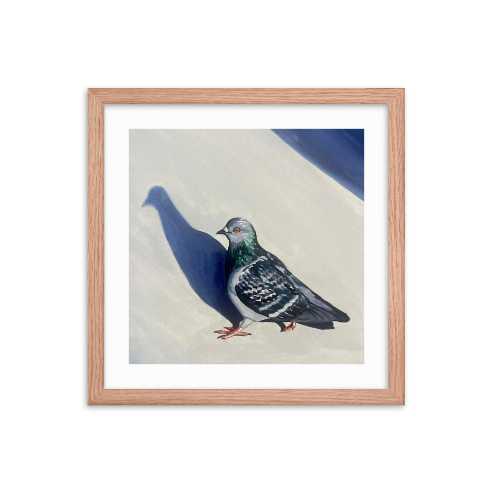 Pigeon Promenade Framed Print