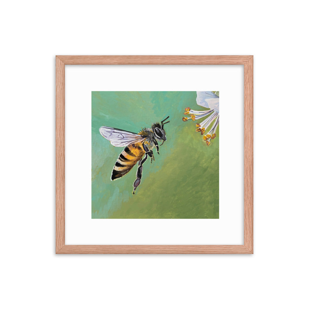 Bee Framed Print