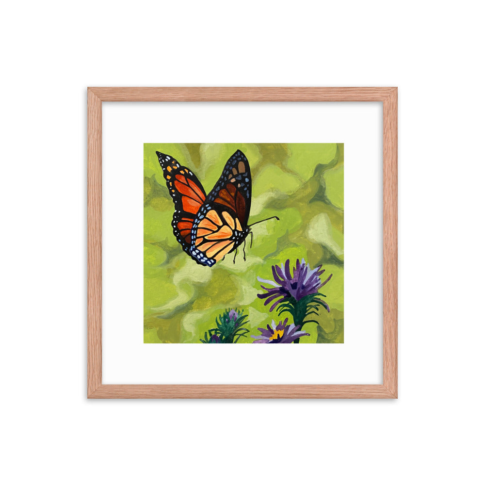 Butterfly Framed Print