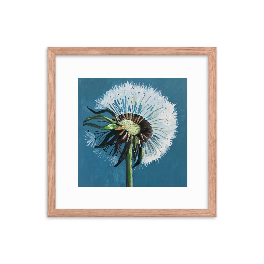 Dandelion Framed Print