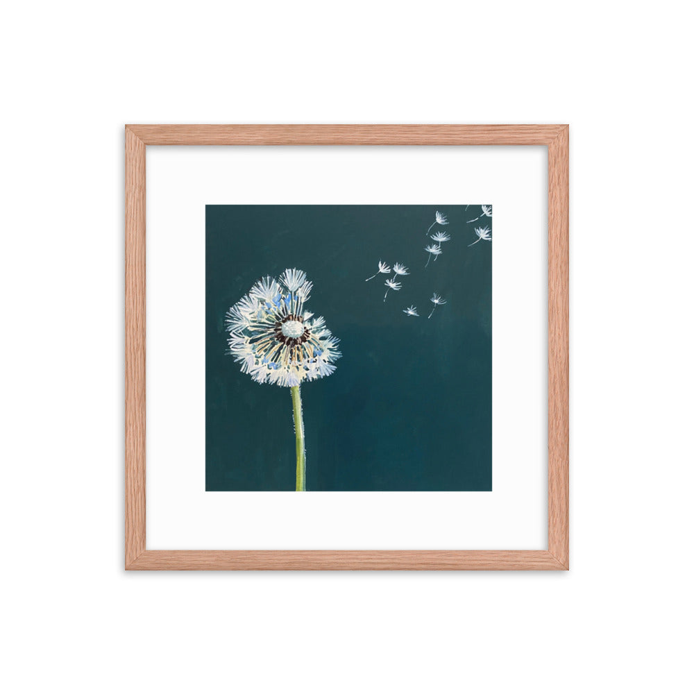 Dandelion Framed Print