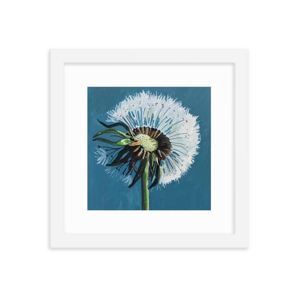 Dandelion Framed Print