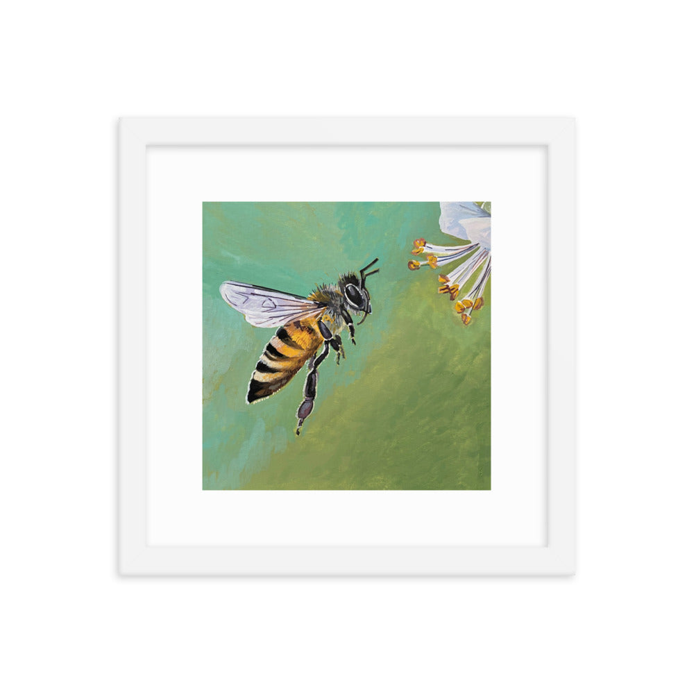 Bee Framed Print