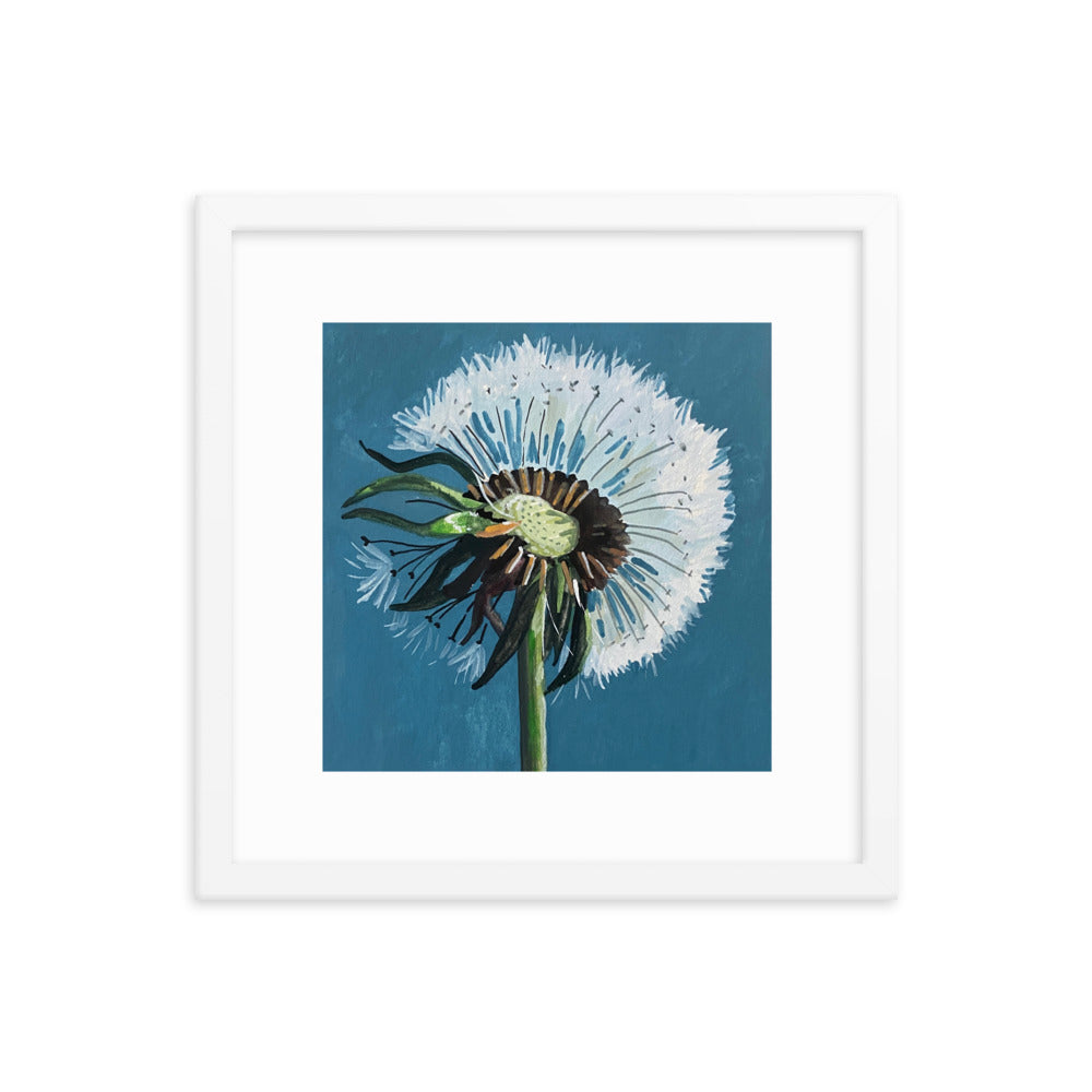 Dandelion Framed Print