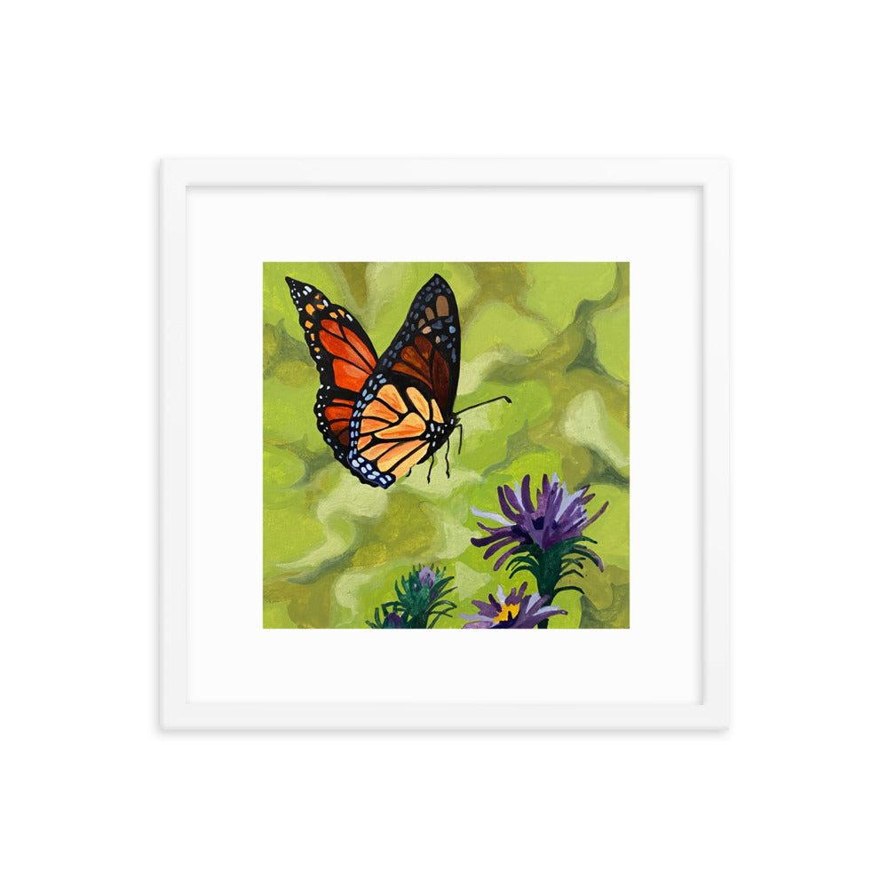 Butterfly Framed Print