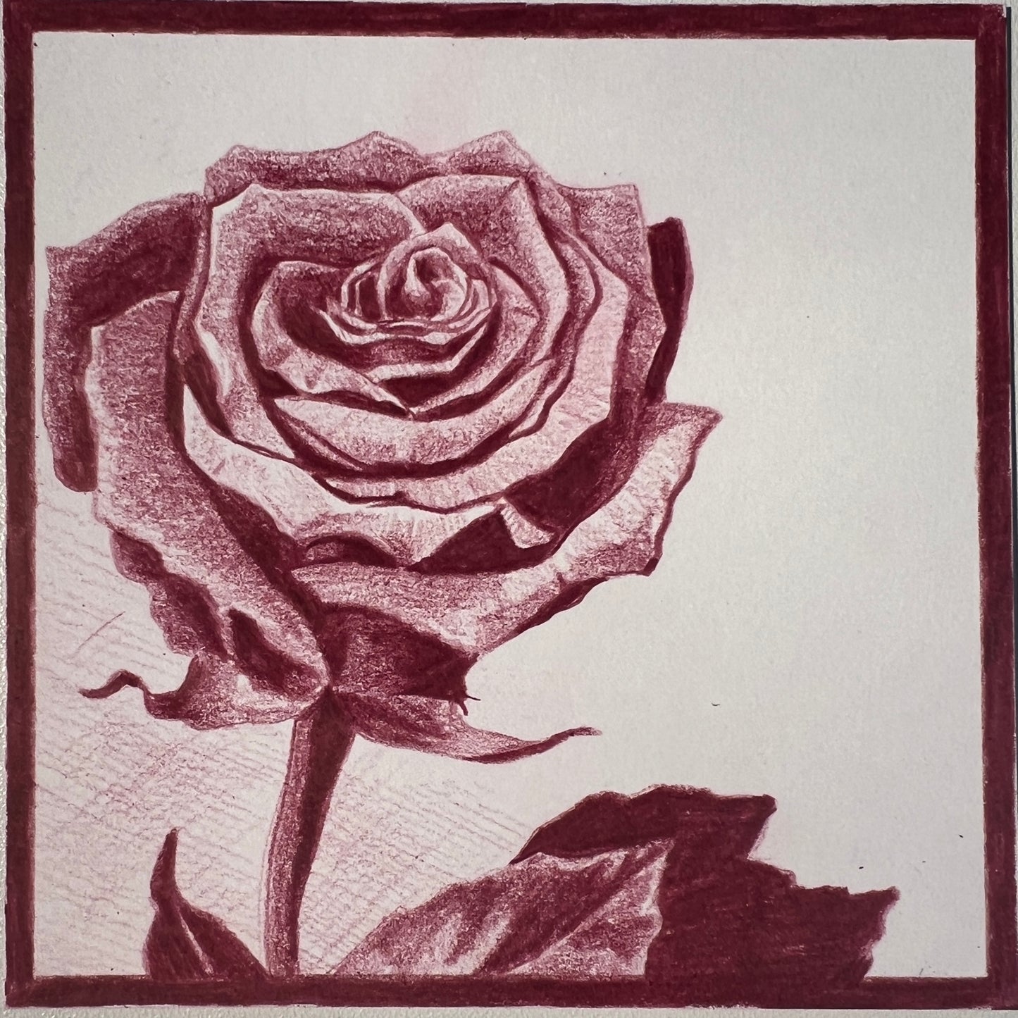 Red rose