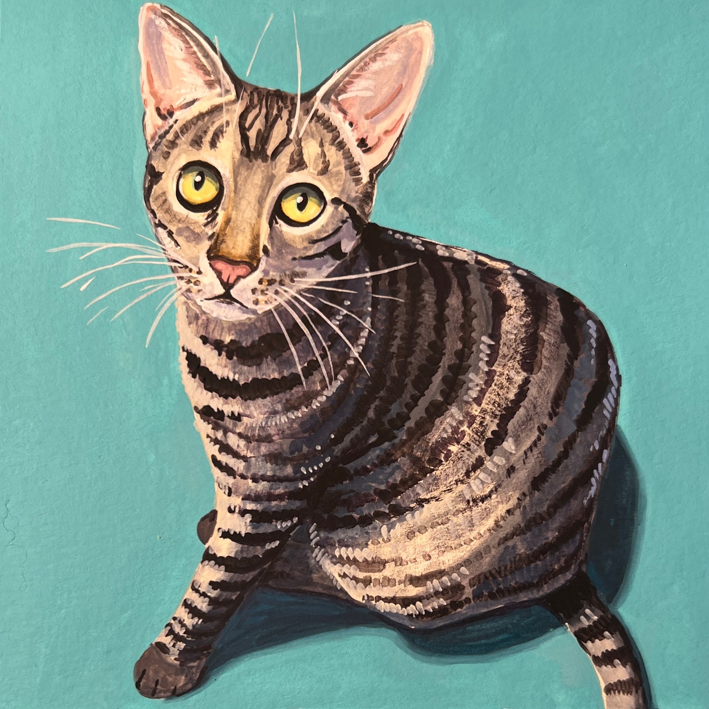 Pet Portrait Commission