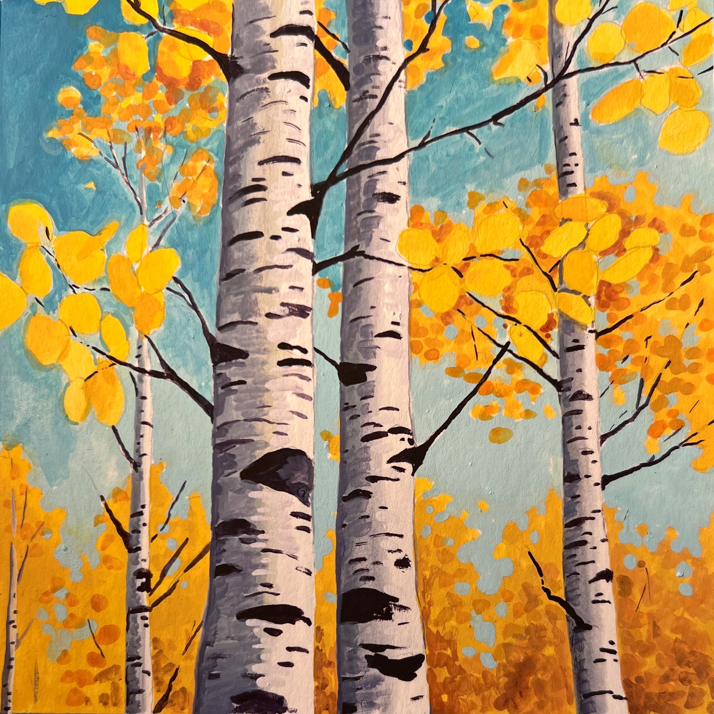 Yellow Aspen
