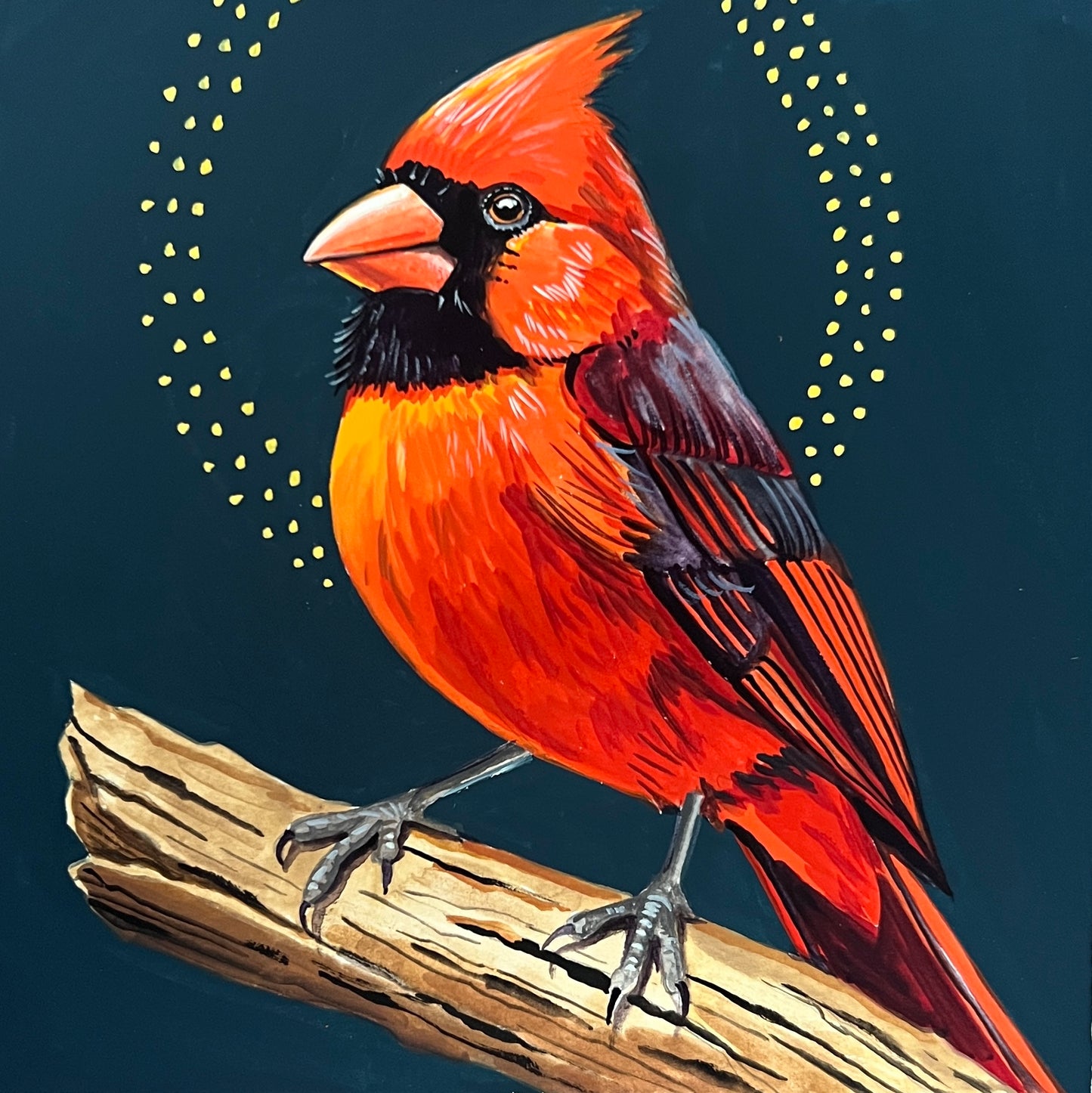 Red Cardinal