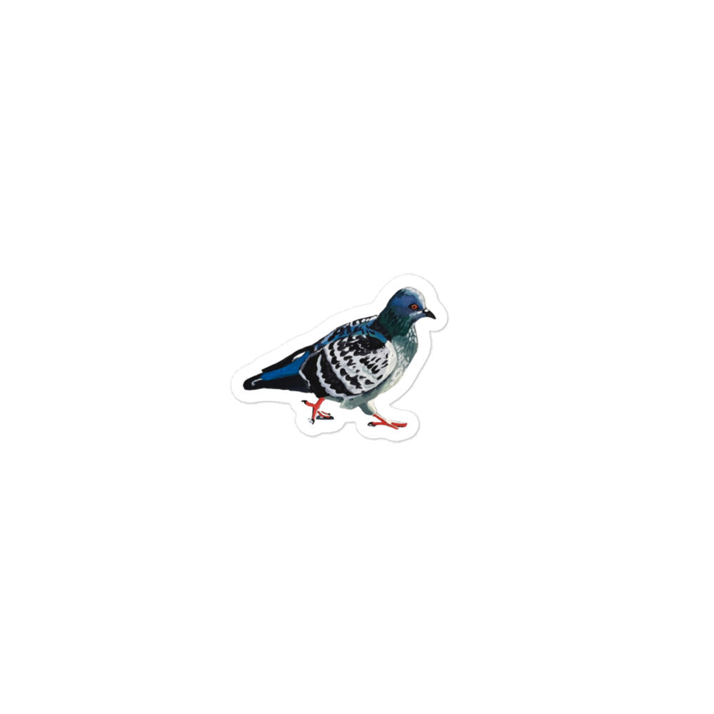 Pigeon Sticker