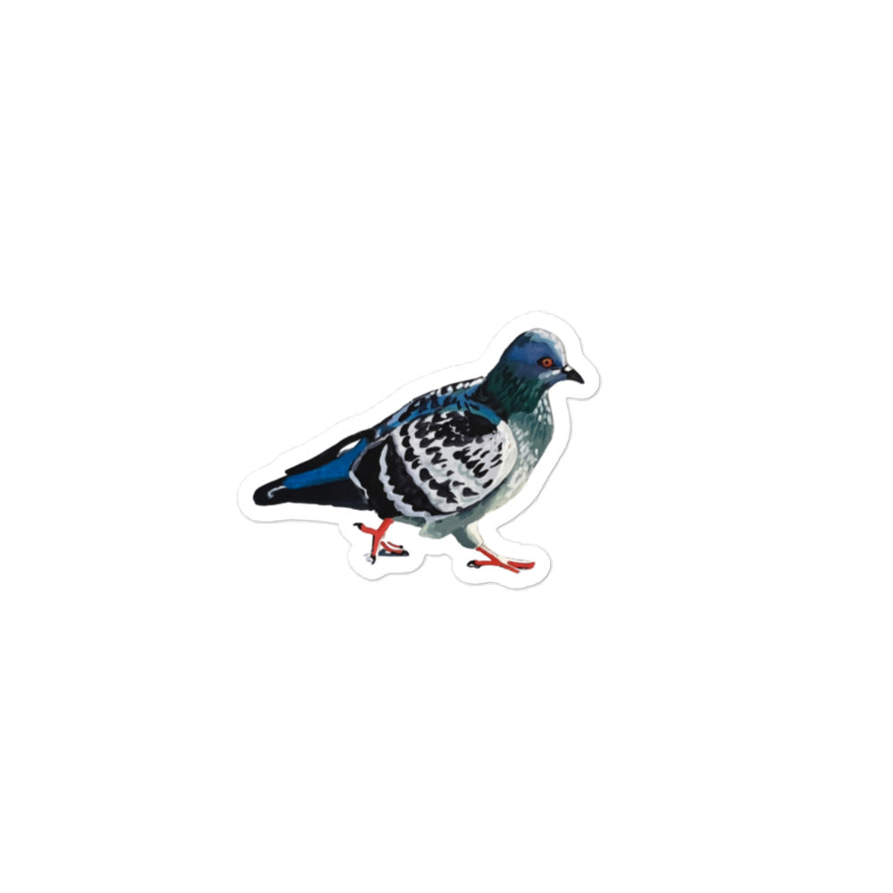 Pigeon Sticker