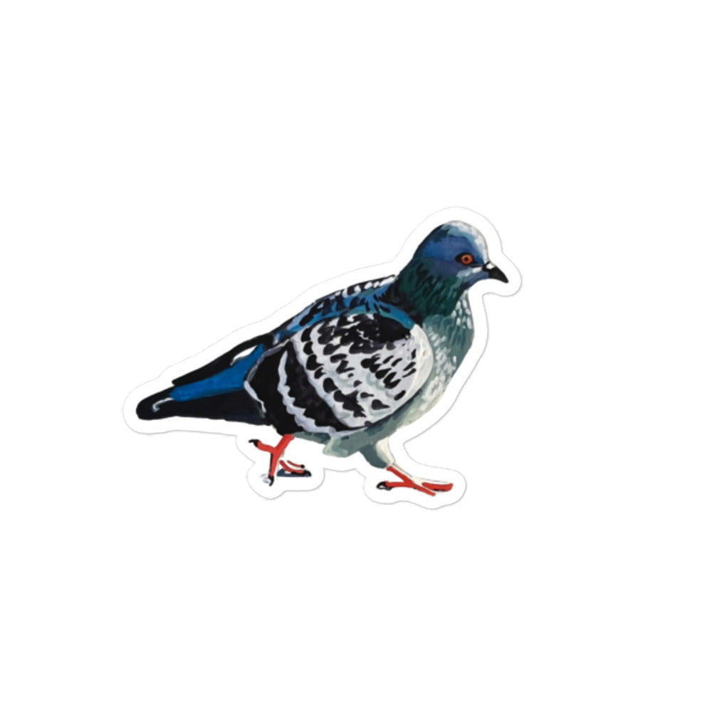 Pigeon Sticker