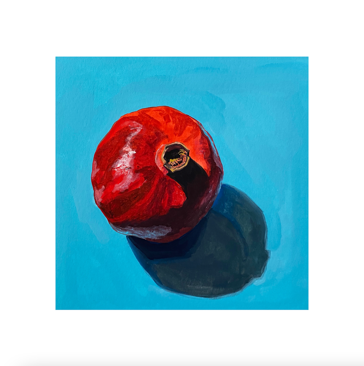 Pomegranate Print