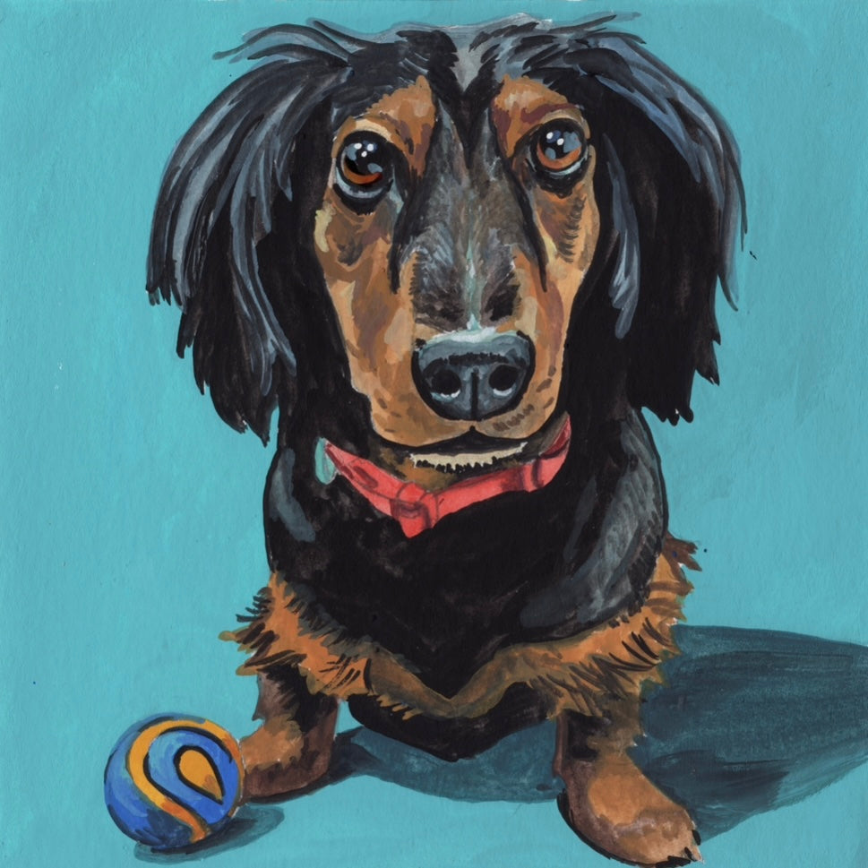 Pet Portrait