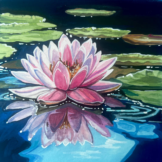 Water Lily