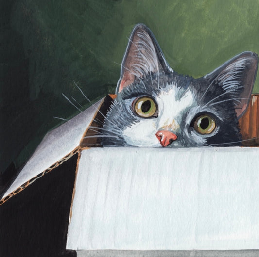 Cat in the Box