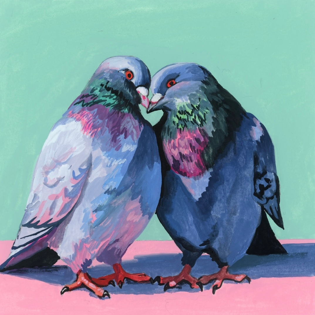 Birds of a Feather
