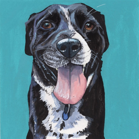 Pet Commission