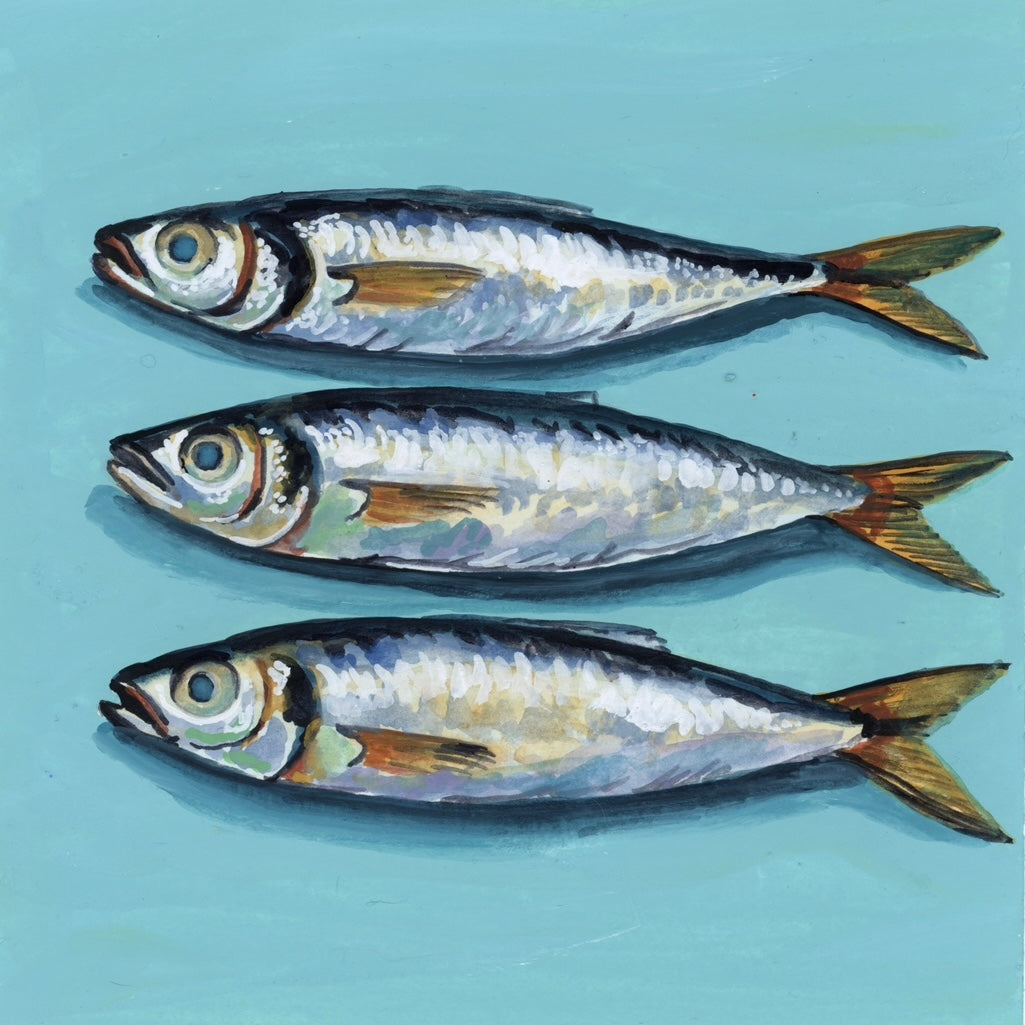 Three Little Fish