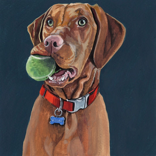 Willow Pet Portrait Commission