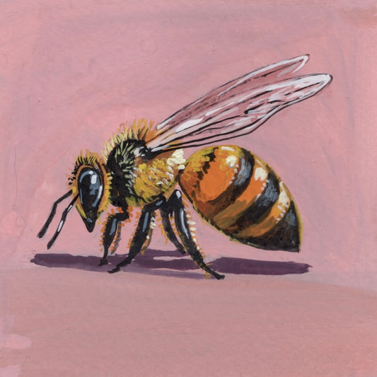 Mini Honey Bee