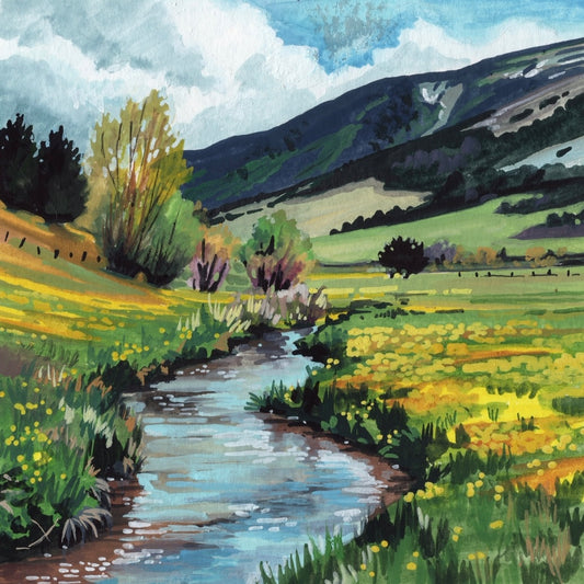 Spring Stream