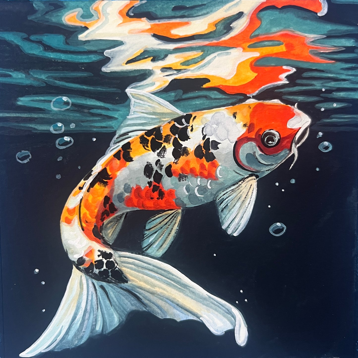 Koi Reflctions