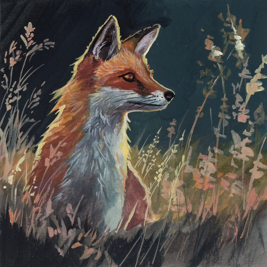 Little Fox