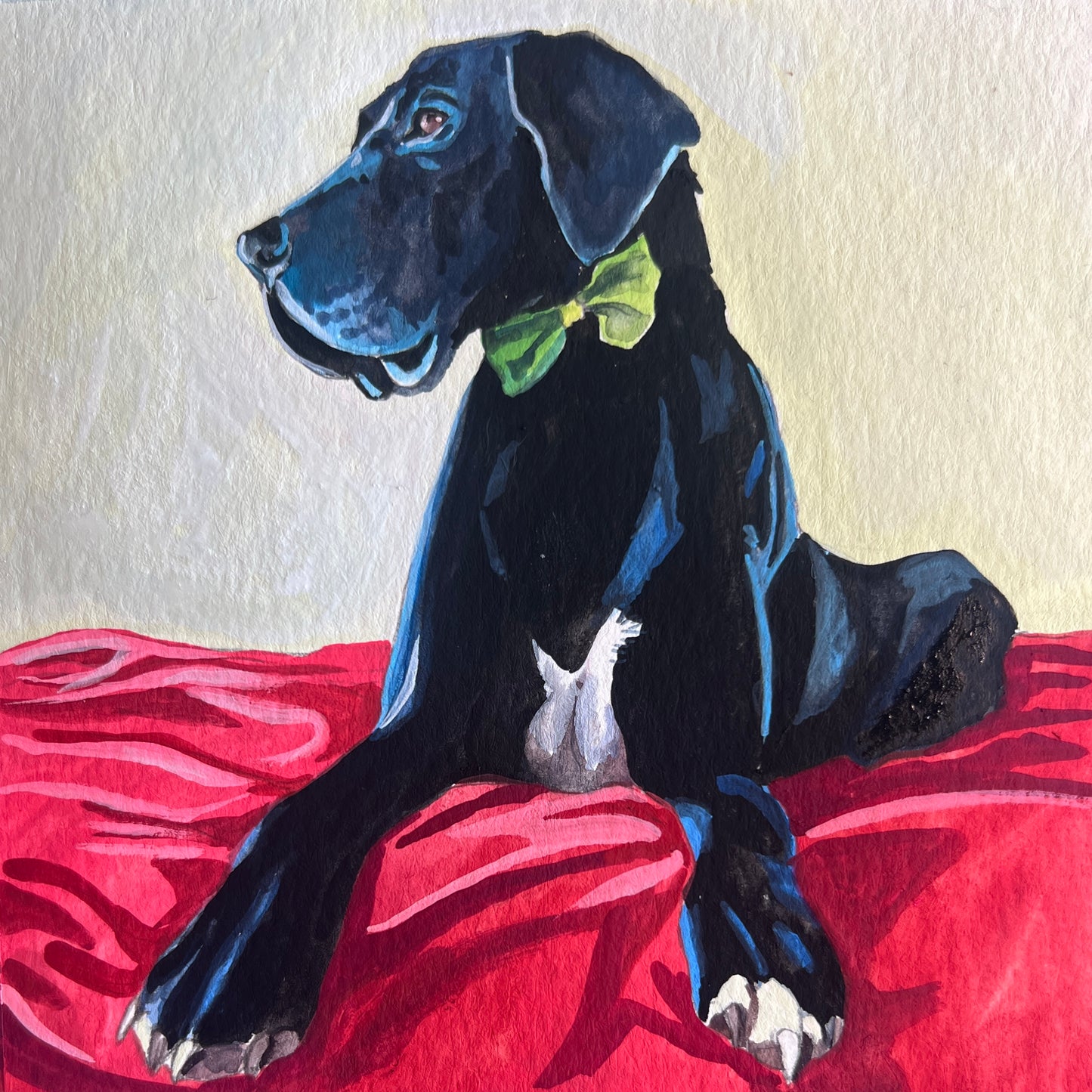 Pet portrait commission