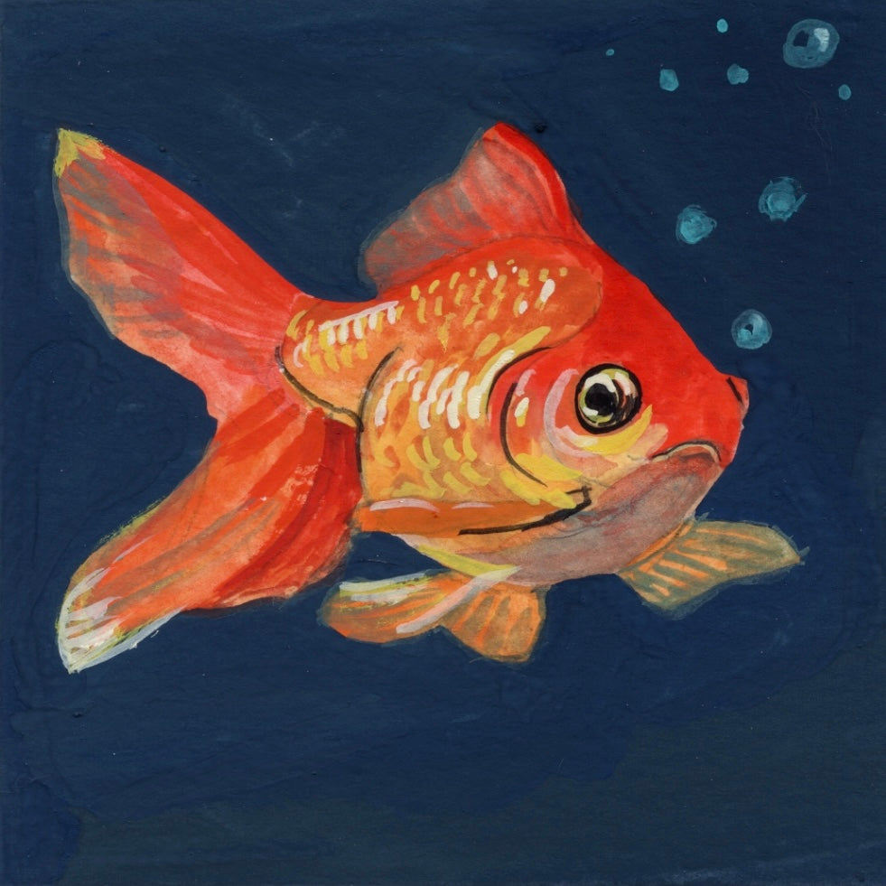 Mini Goldfish
