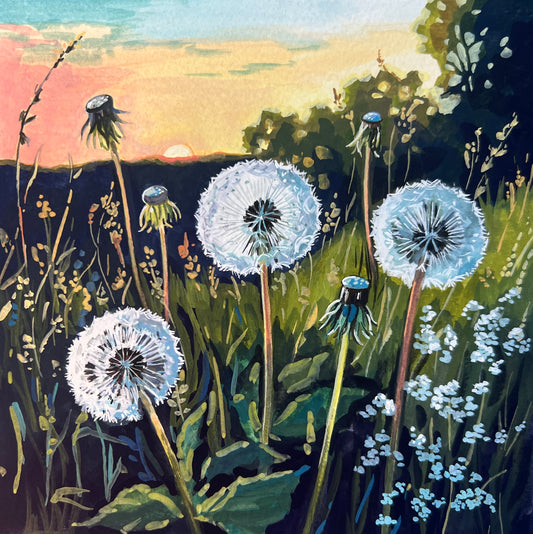 Dandelion Sunset 8x8