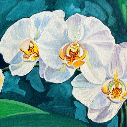 Orchid Bloom