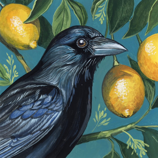 Crow in a Lemon Tree
