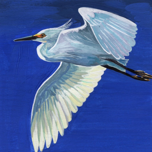 Flight