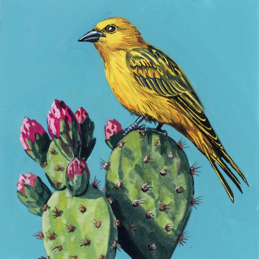 Prickly Pear Perch