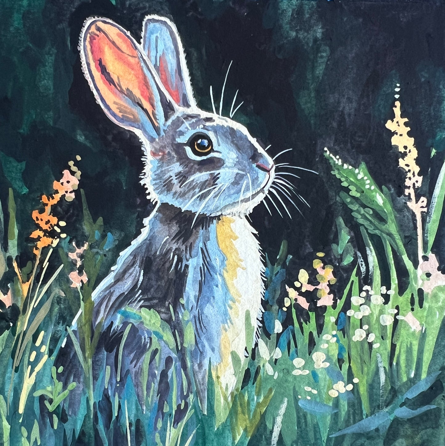 Rabbit