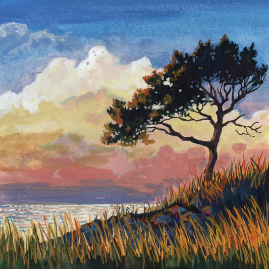 Windswept Pine