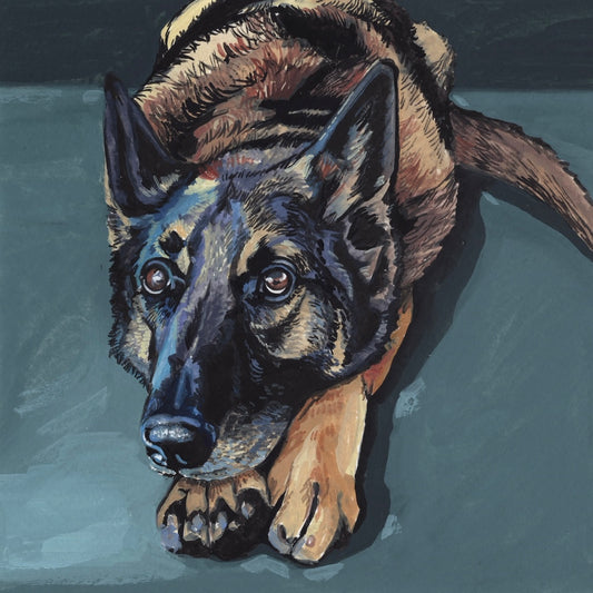 Pet Portrait Commission