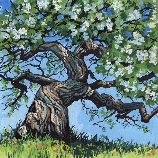 In the Orchard