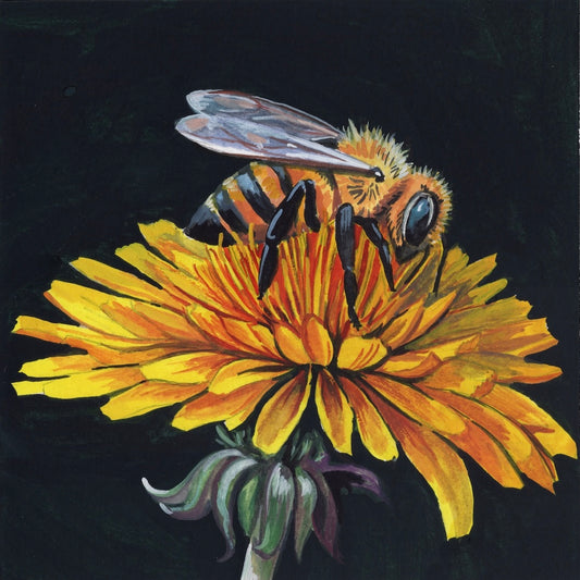 Collecting Pollen