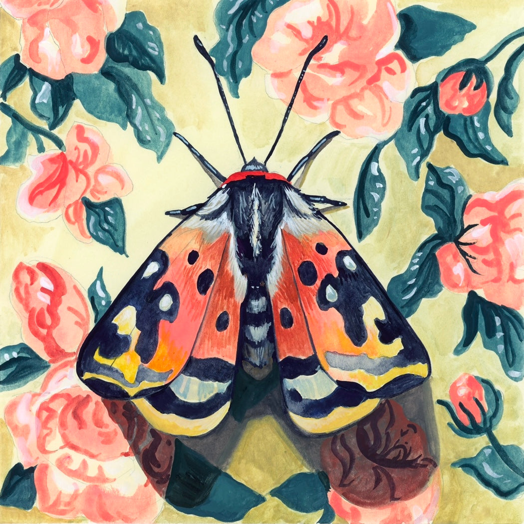 Moth and Wallpaper 8x8