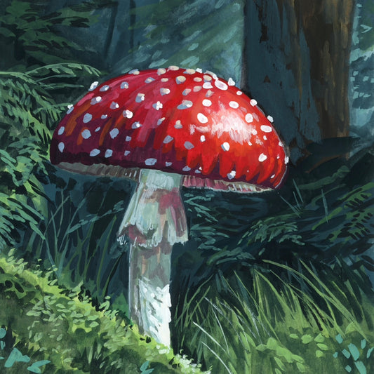 Forest Magic