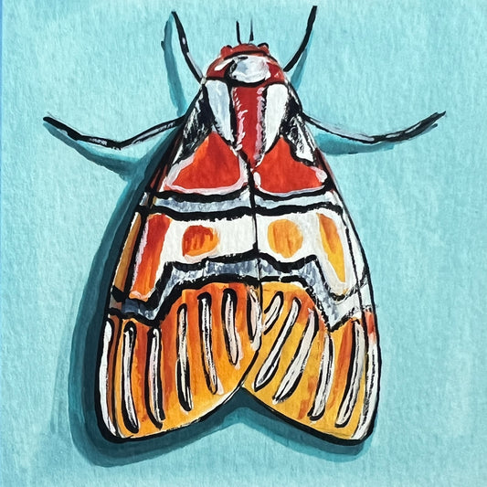 Mini Moth #3