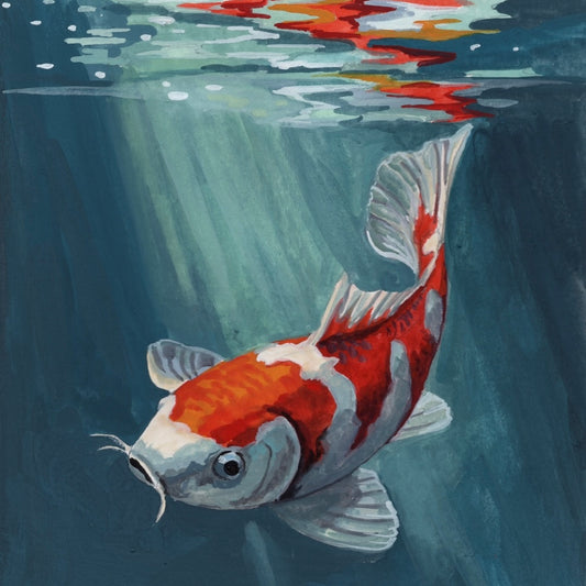 Diving Koi