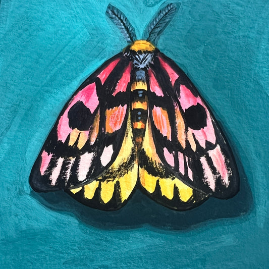 Mini Moth #1