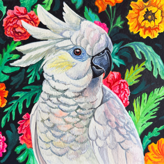 Cockatoo Blooms 8x8