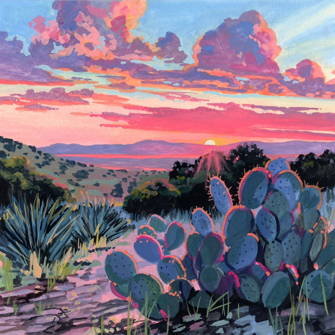 Blushing Desert 8x8