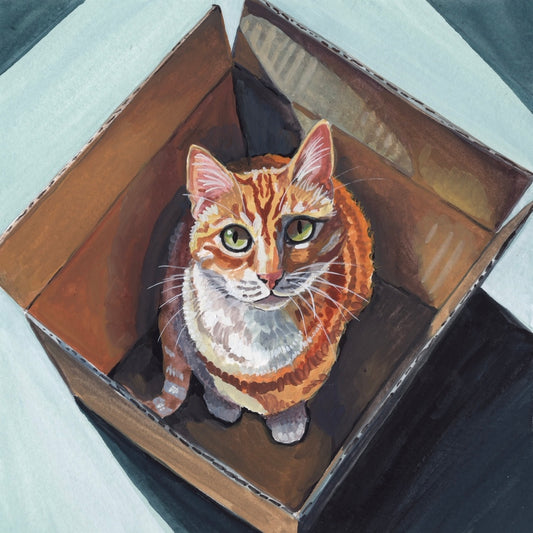 If it Fits 8x8
