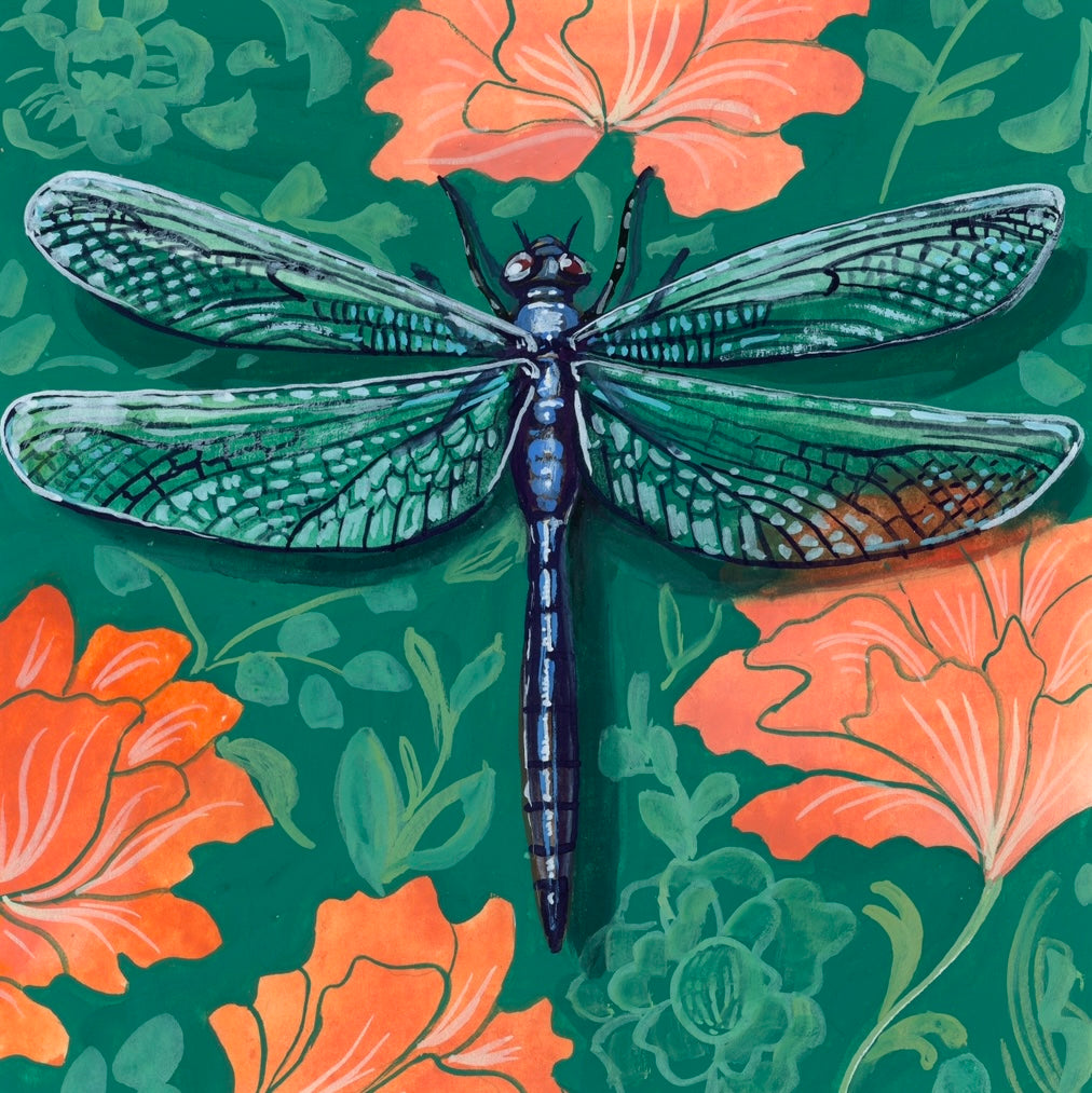 Dragonfly